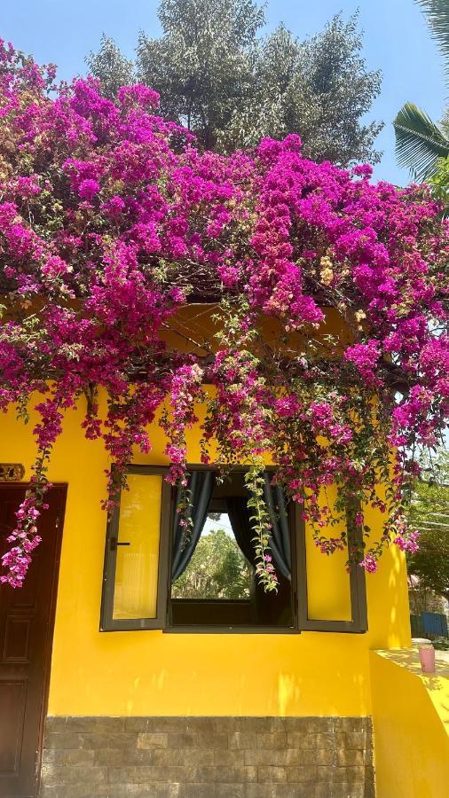 Bao Dien Guesthouse Bao Loc Buitenkant foto